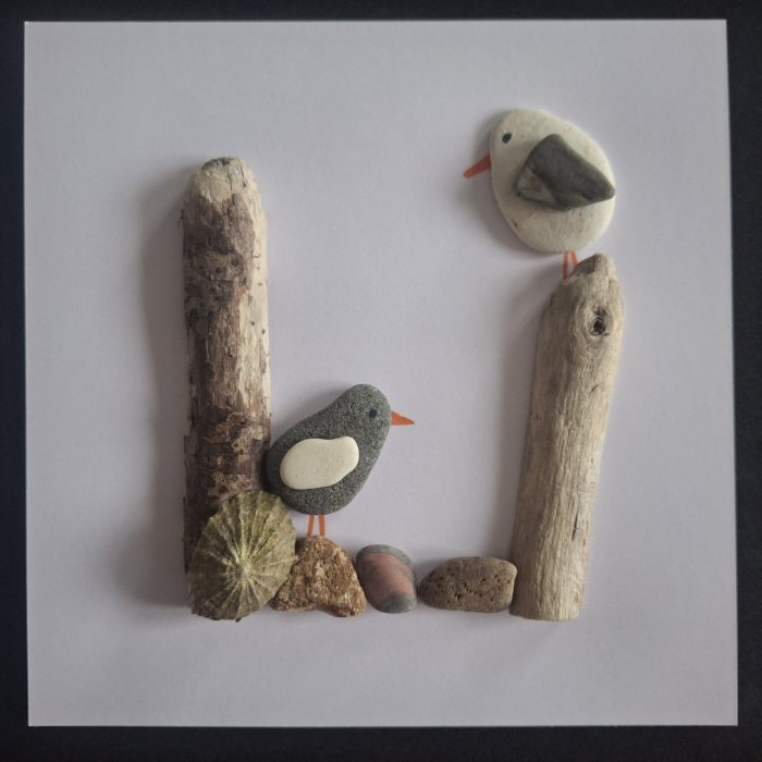Rock Pool Chat: a grey pebble bird on beach pebbles and a gull on a driftwood post